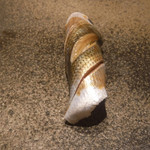 寿し おおはた - 