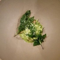 セルサルサーレ - 