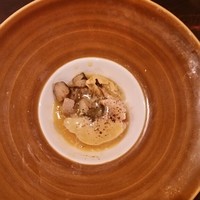 セルサルサーレ - 