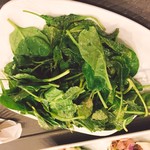 ShoreFyre - サラダ！山盛り♪w 因みにハワイって日本みたいにレタスじゃないとこ多い！