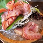 いしまるや - 赤貝の造り