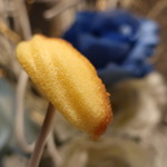 グランド ダイア - マドレーヌ