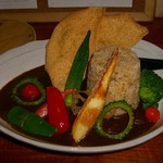 森の賢者 - 島野菜のピューレカレー 玄米(2008年Ver)