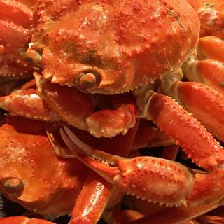 その日その時だけの素晴しい食材