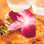 Sunny Days Monsarrat Ave Honolulu - Hawaiiに咲く花……   沖縄にも咲くよね…。