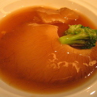 中国料理 星ヶ岡 - 鱶鰭の姿煮。海鮮出汁のブラウンソース