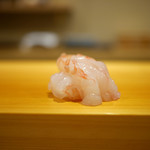 鮨 あらい - 牡丹海老