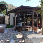 ブルーラインサクラ - 