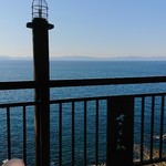 ブルーラインサクラ - 