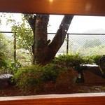 湖水亭 嵯峨和  - 