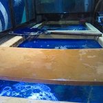 せいもん払い - ヤリイカの生簀