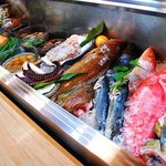 呑んごろ - カウンターでネタを見ながら注文するのもひとつの楽しみ方です。