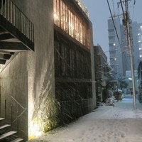 ミモザ - 