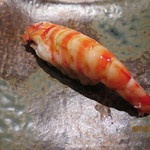 鮨 なかや - 車海老（半生）