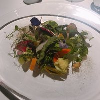 レフェルヴェソンス - 