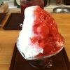ひみつ堂 ひみつ堂