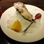 KAZAN - キャッツアイオイスター