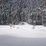 くつきそば 永昌庵 - 