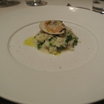 リストランテ カノフィーロ - ハマグリと菜の花　リゾット