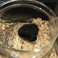 Terres de Truffes, Tokyo - 