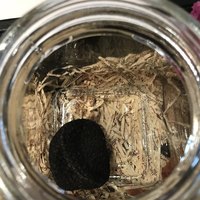 Terres de Truffes, Tokyo - 