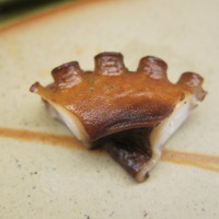 鮨 木場谷 - 煮蛸(氷見)