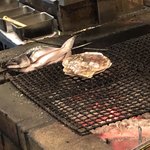 なかめのてっぺん - 