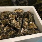 鳴門沖えびす水産 - 