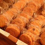 ホホホ座尾道店 コウガメ - 