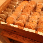 ホホホ座尾道店 コウガメ - 