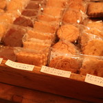 ホホホ座尾道店 コウガメ - 