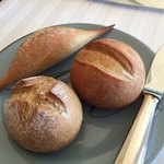 テラコヤ - パン