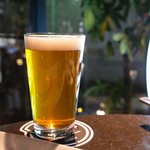 Goodbeer faucets - 