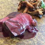 テラコヤ - 蝦夷鹿のロースト、森のベリーとカオールのワインソース 　鹿のアパをフレンチ風”どて煮”に仕立てて、茸のフリカッセ添え
