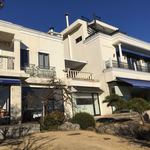 テラコヤ - 庭園から建物を望む