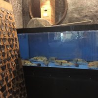 カニとフグの専門店 福島かにふぐ家 - 
