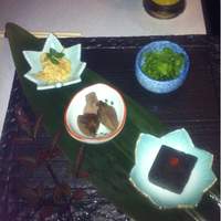 美神鶏 - 