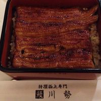 うなぎ川勢 - 