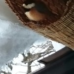 くつきそば 永昌庵 - 