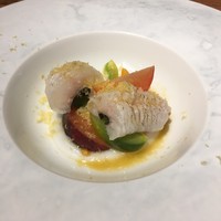 cenci - 