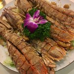Ngoc Suong Marina - 