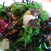 Benoit Alain Ducasse - 
