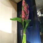 SALONE 2007 - お花もお洒落！