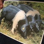 SALONE 2007 - この方たちだそうです