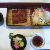 鰻割烹 伊豆栄 不忍亭 - 伊豆栄弁当（松）