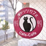 キャッツカフェ - 