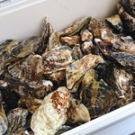 お好み焼き　ほり - 殻付き牡蠣もたくさん買いましたww