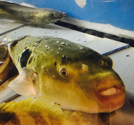 Uomidokoro Takeya photo 3