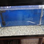 うなぎ亭 友栄 - 