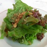 アルテリーベ - 